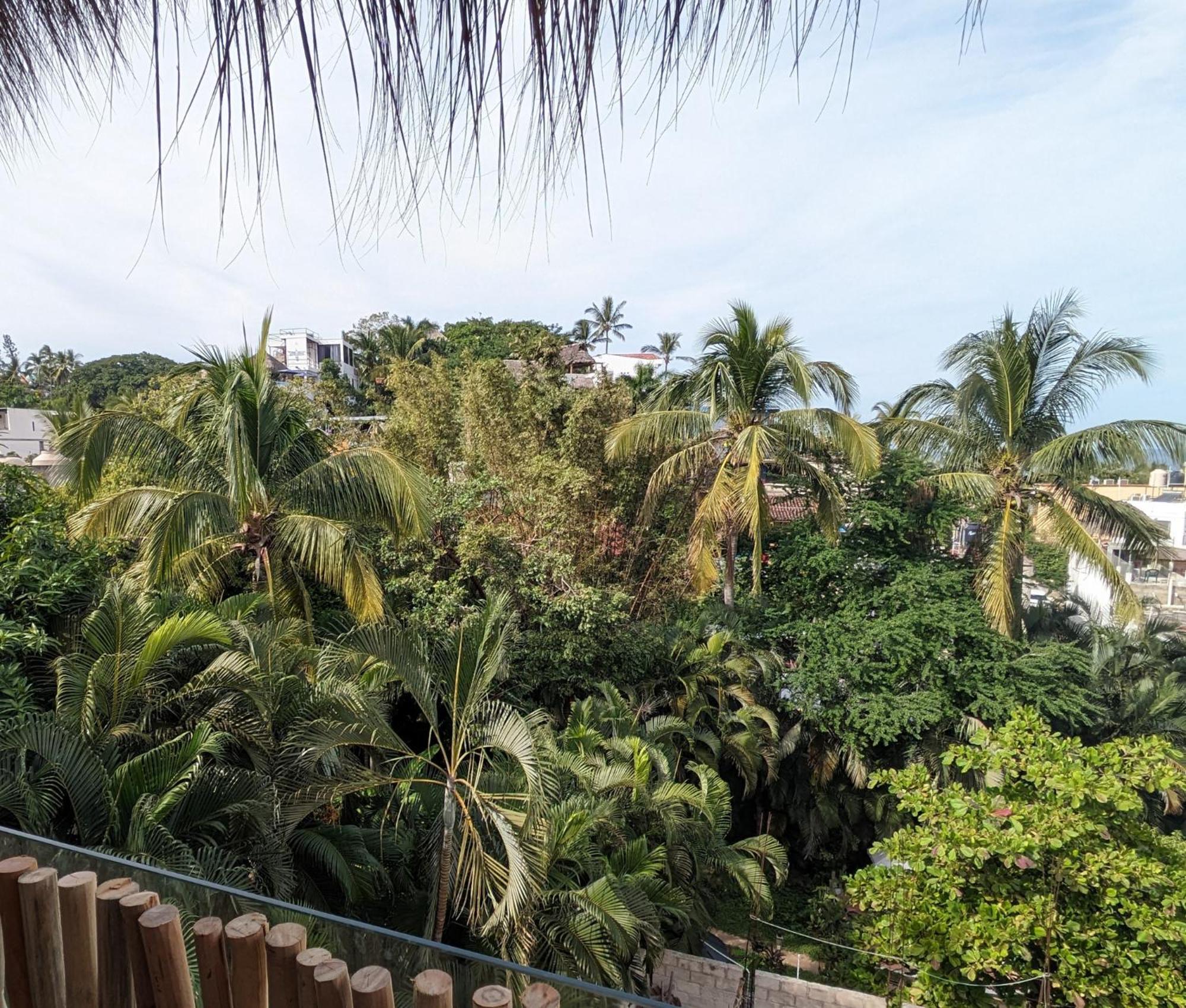 Casa Pepe Hotel Sayulita Eksteriør billede